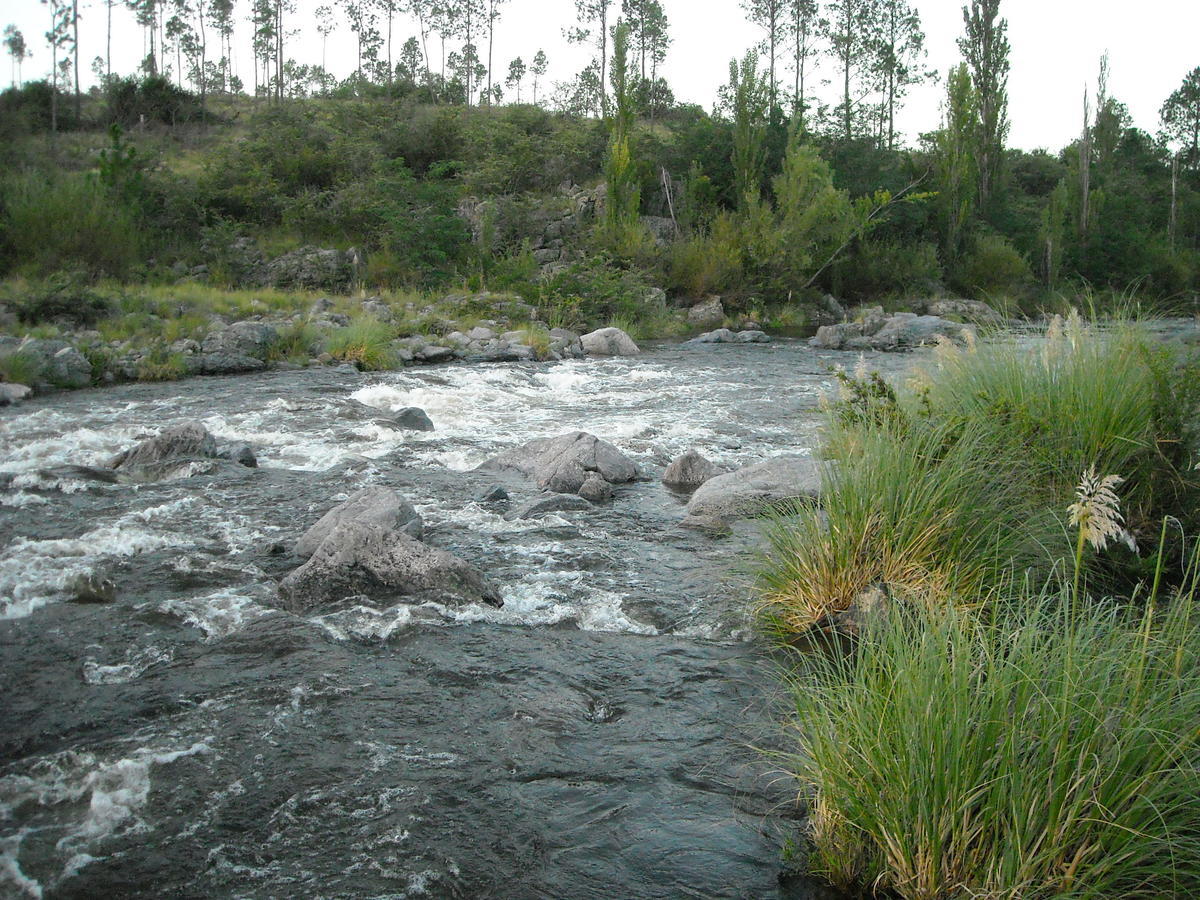 Cabanas Ecos Del Rio Los Reartes Pokoj fotografie